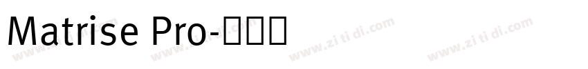Matrise Pro字体转换